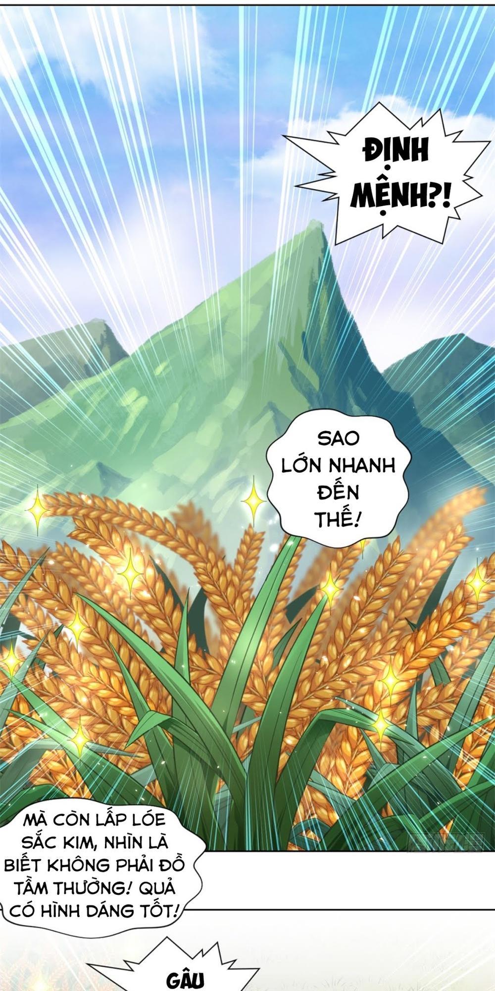 Chiếm Cái Đỉnh Núi Làm Đại Vương chapter 2 - Trang 26