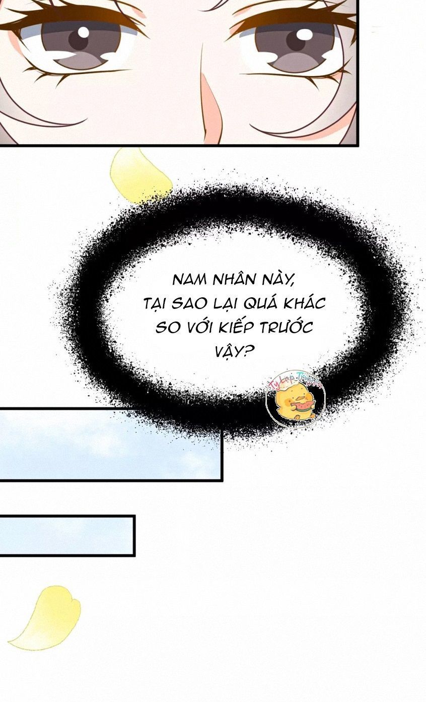 Trùng Sinh Chuyên Sủng Độc Phi Của Nhiếp Chính Vương chapter 10 - Trang 14