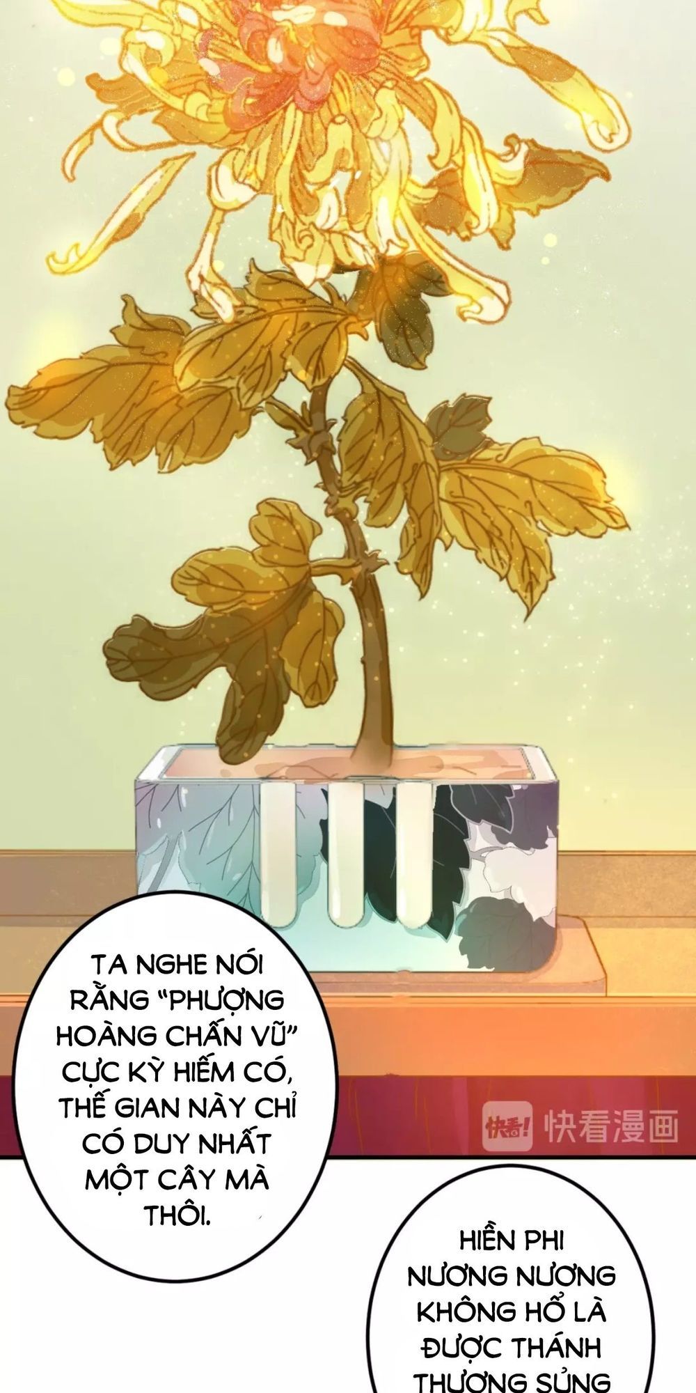 Trùng Sinh Chuyên Sủng Độc Phi Của Nhiếp Chính Vương chapter 16 - Trang 19