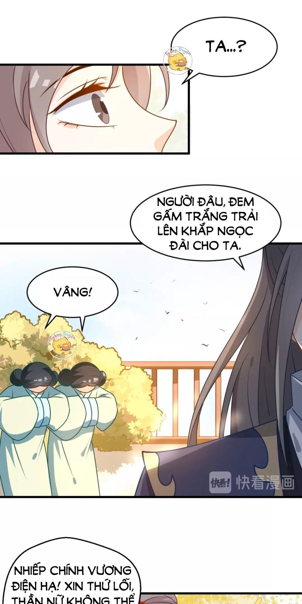Trùng Sinh Chuyên Sủng Độc Phi Của Nhiếp Chính Vương chapter 19 - Trang 11
