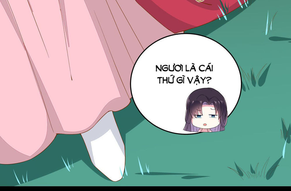 Chi Tôn Đồng Thuật Sư: Tuyệt Thế Đại Tiểu Thư chapter 7 - Trang 6