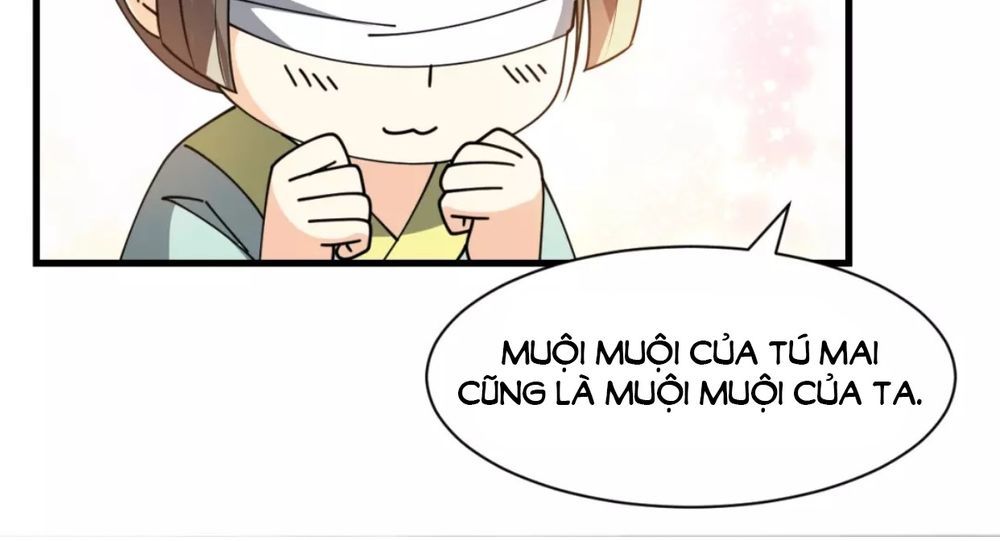 Trùng Sinh Chuyên Sủng Độc Phi Của Nhiếp Chính Vương chapter 28 - Trang 10