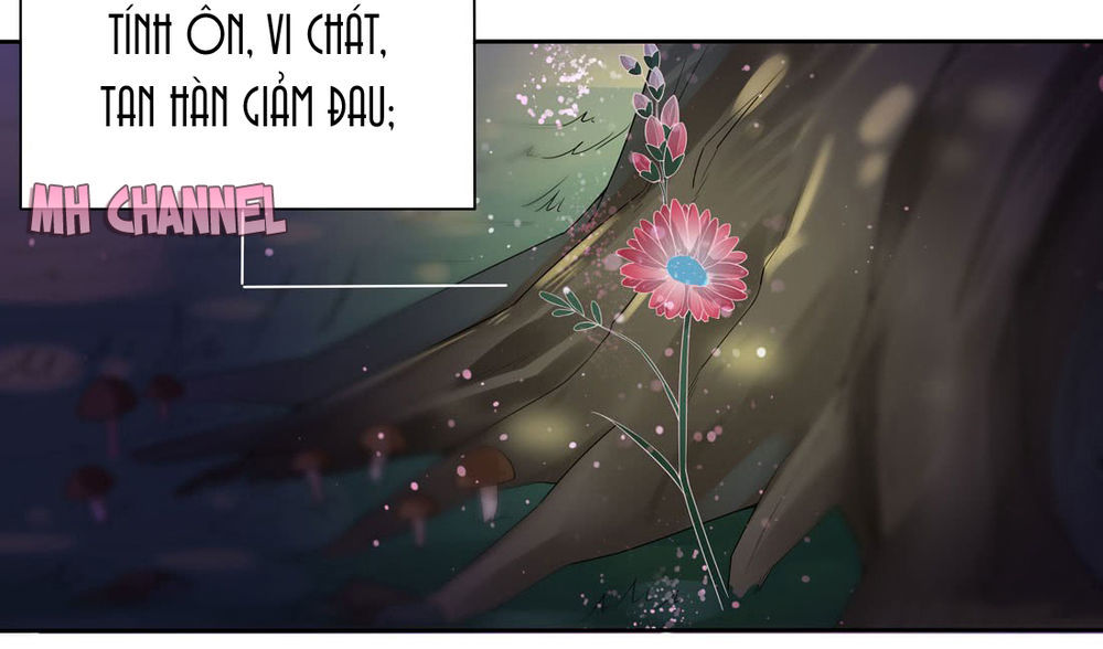 Chi Tôn Đồng Thuật Sư: Tuyệt Thế Đại Tiểu Thư chapter 16 - Trang 6
