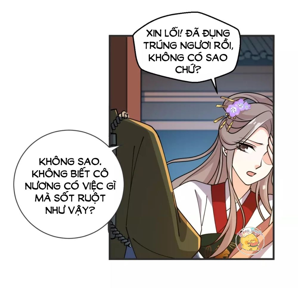 Trùng Sinh Chuyên Sủng Độc Phi Của Nhiếp Chính Vương chapter 36 - Trang 11