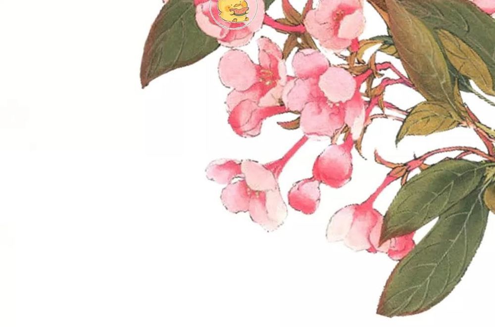 Trùng Sinh Chuyên Sủng Độc Phi Của Nhiếp Chính Vương chapter 37 - Trang 41