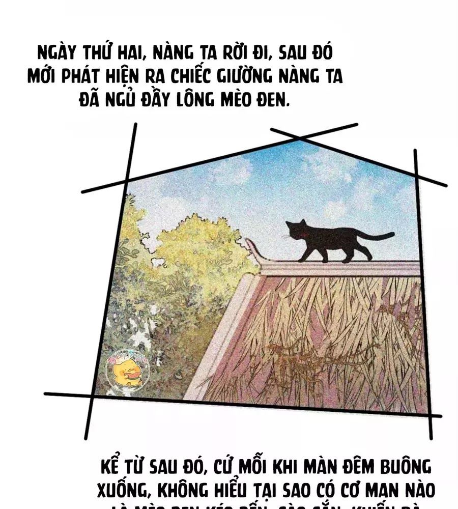 Trùng Sinh Chuyên Sủng Độc Phi Của Nhiếp Chính Vương chapter 39 - Trang 14