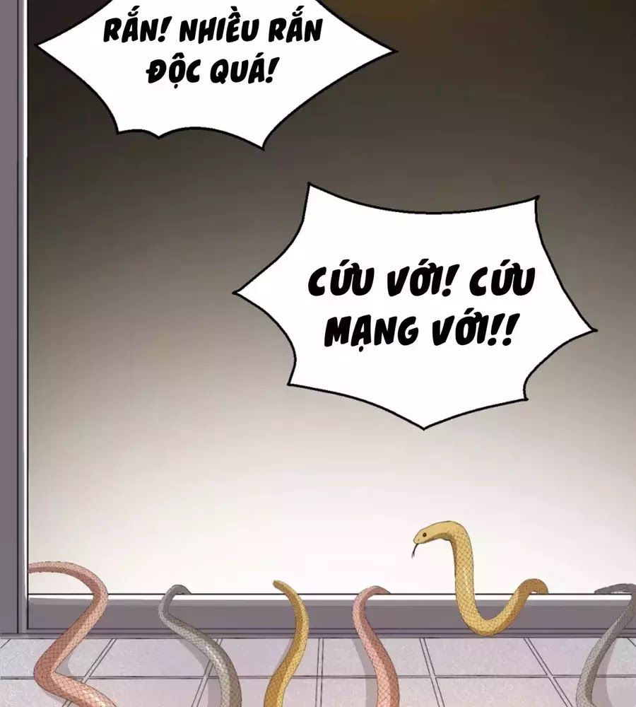 Trùng Sinh Chuyên Sủng Độc Phi Của Nhiếp Chính Vương chapter 40 - Trang 55