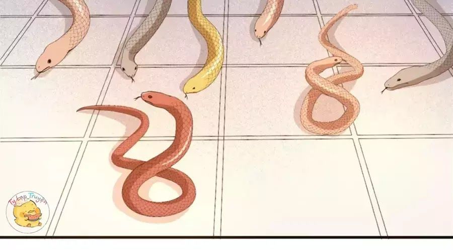 Trùng Sinh Chuyên Sủng Độc Phi Của Nhiếp Chính Vương chapter 40 - Trang 56