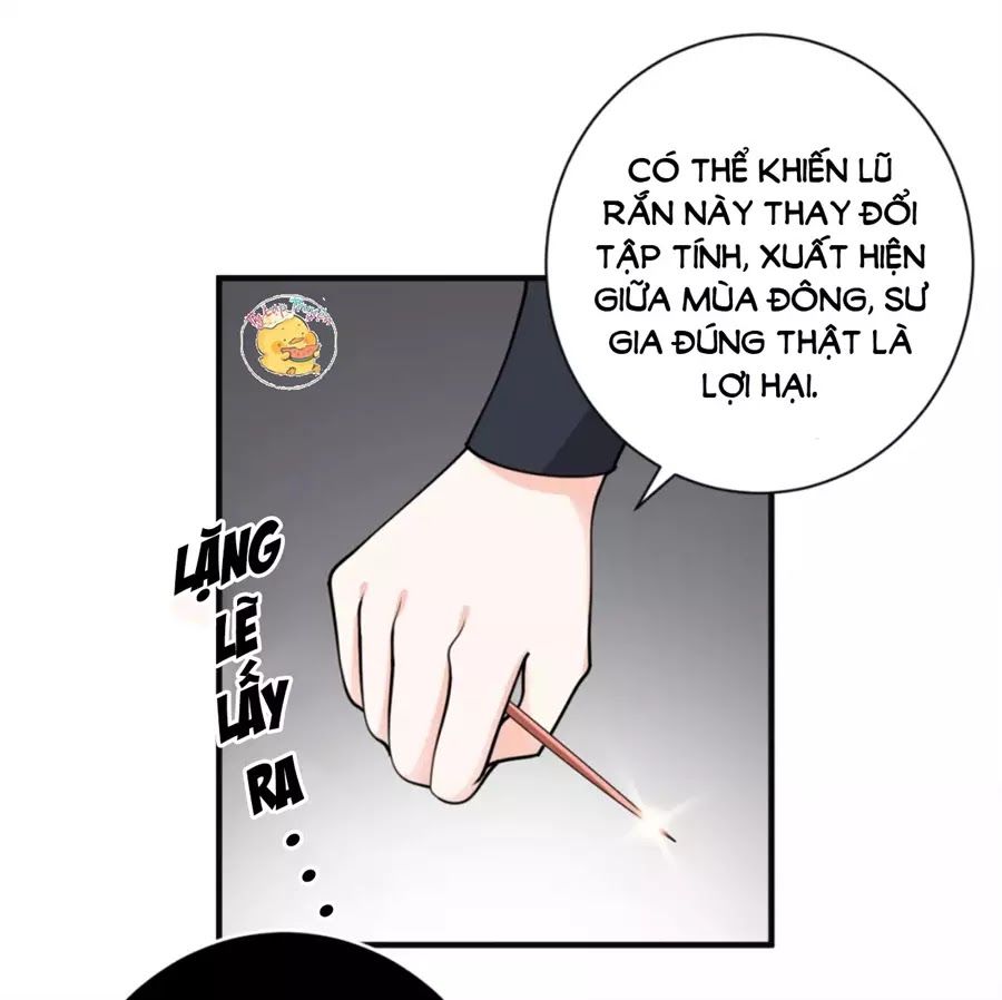 Trùng Sinh Chuyên Sủng Độc Phi Của Nhiếp Chính Vương chapter 41 - Trang 20