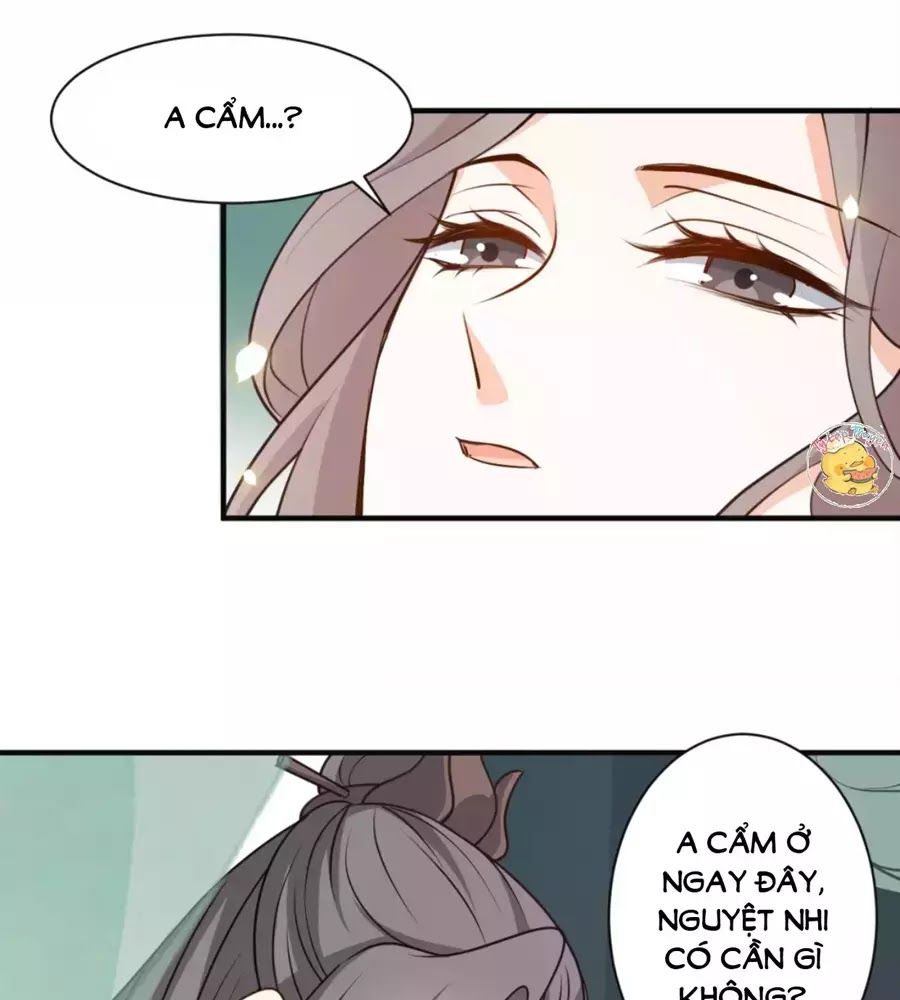 Trùng Sinh Chuyên Sủng Độc Phi Của Nhiếp Chính Vương chapter 41 - Trang 44