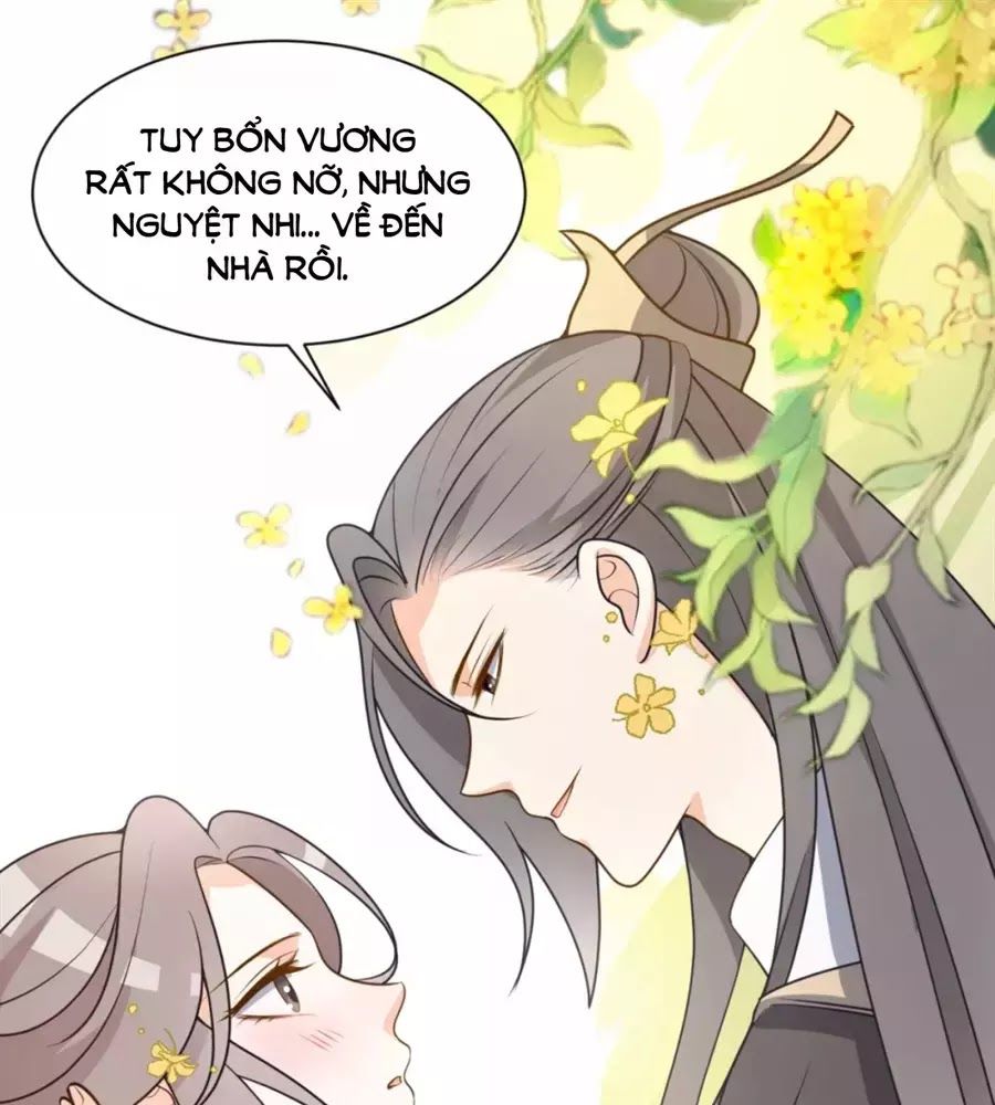Trùng Sinh Chuyên Sủng Độc Phi Của Nhiếp Chính Vương chapter 42 - Trang 45