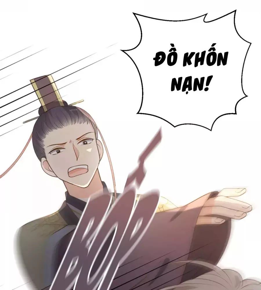 Trùng Sinh Chuyên Sủng Độc Phi Của Nhiếp Chính Vương chapter 44 - Trang 47