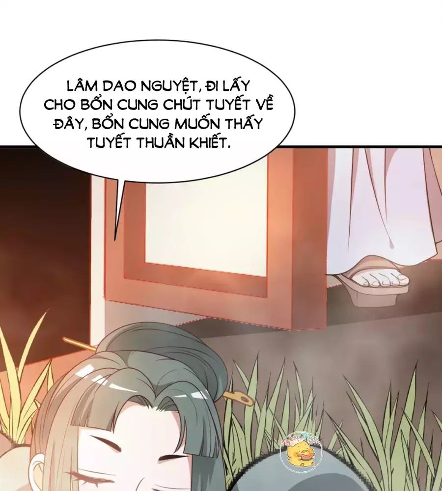 Trùng Sinh Chuyên Sủng Độc Phi Của Nhiếp Chính Vương chapter 45 - Trang 17