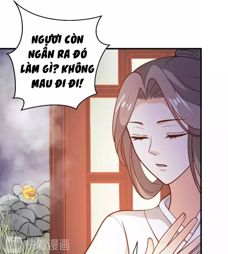 Trùng Sinh Chuyên Sủng Độc Phi Của Nhiếp Chính Vương chapter 45 - Trang 24
