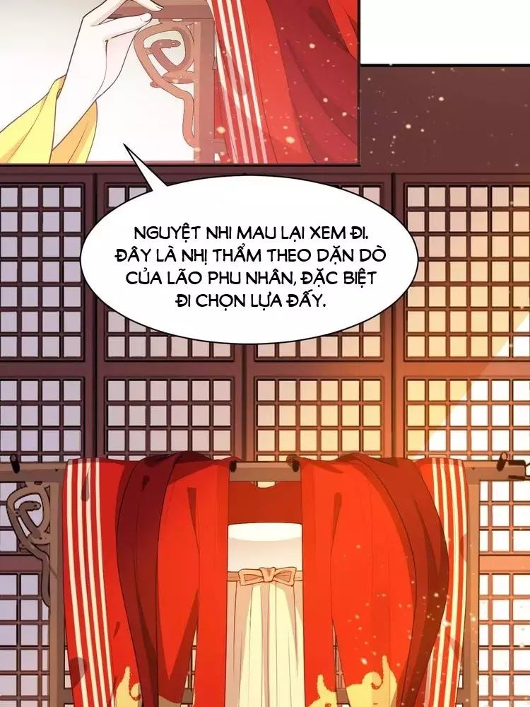 Trùng Sinh Chuyên Sủng Độc Phi Của Nhiếp Chính Vương chapter 48 - Trang 12