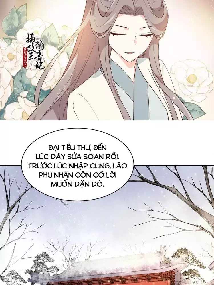 Trùng Sinh Chuyên Sủng Độc Phi Của Nhiếp Chính Vương chapter 48 - Trang 4