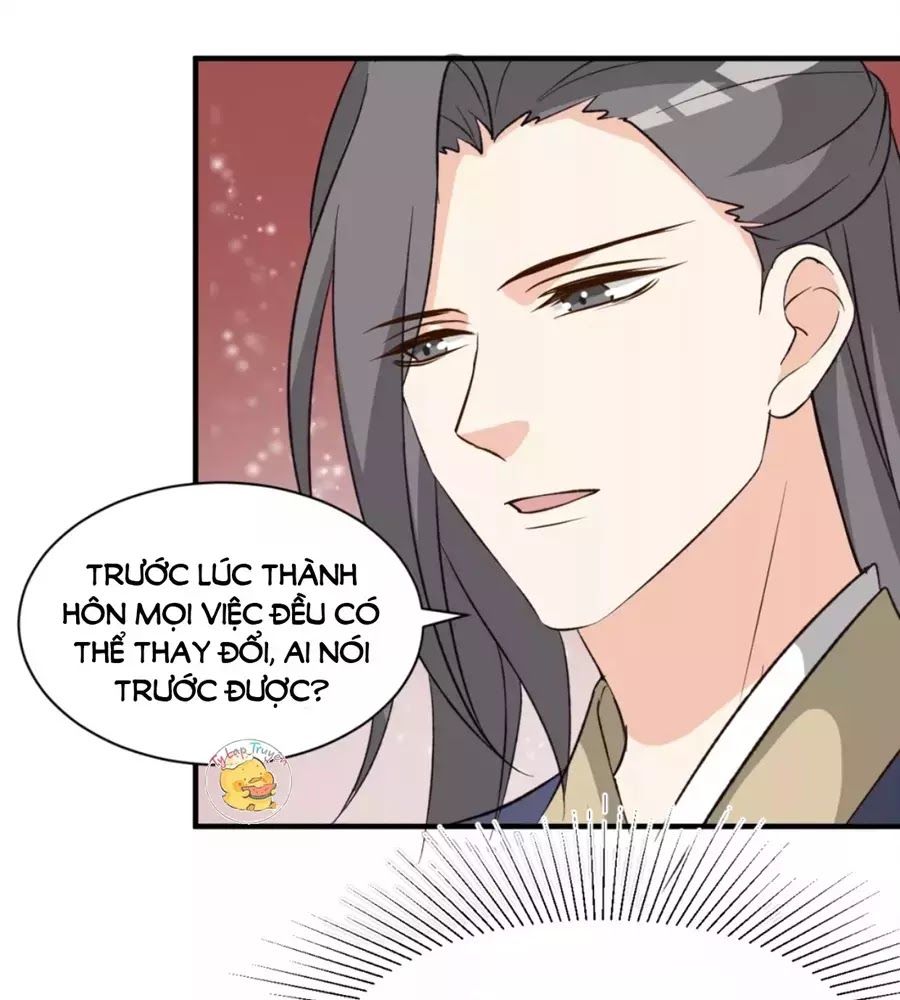 Trùng Sinh Chuyên Sủng Độc Phi Của Nhiếp Chính Vương chapter 49 - Upload bởi truyensieuhay.com