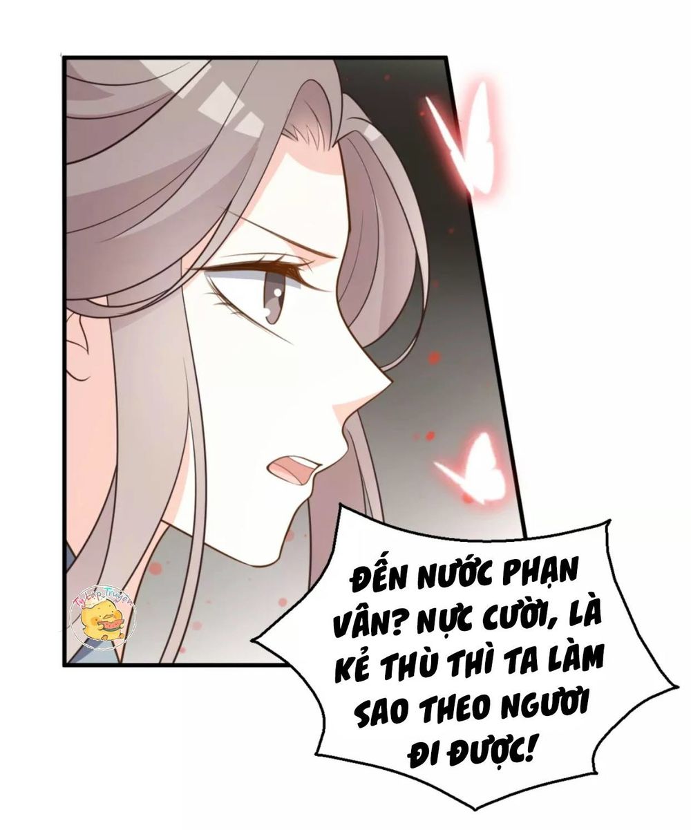 Trùng Sinh Chuyên Sủng Độc Phi Của Nhiếp Chính Vương chapter 51 - Trang 5