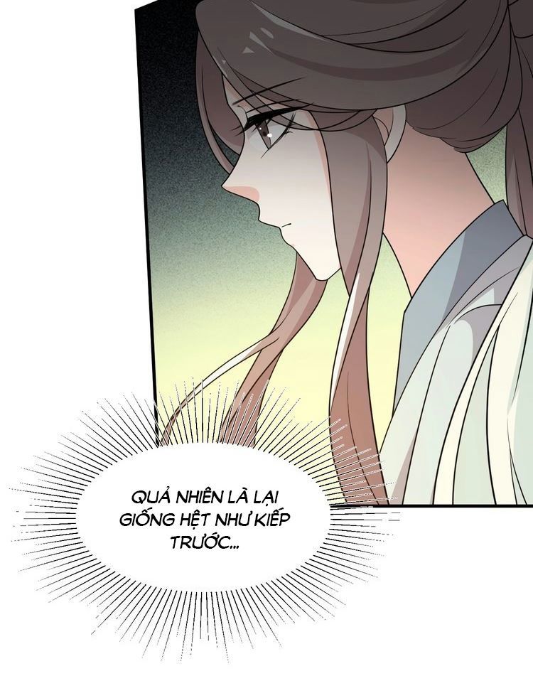 Trùng Sinh Chuyên Sủng Độc Phi Của Nhiếp Chính Vương chapter 54 - Trang 13