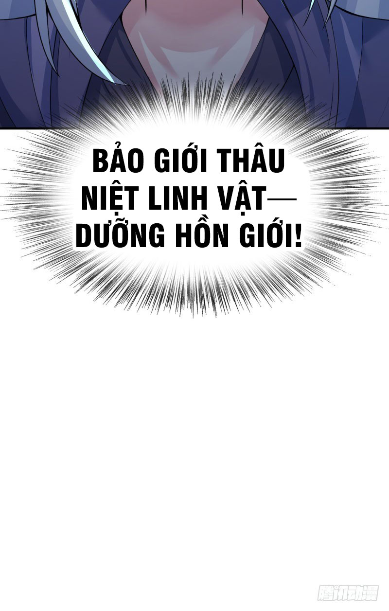 Ta Nhặt Được Thuộc Tính Tại Tu Chân Giới chapter 11 - Trang 28