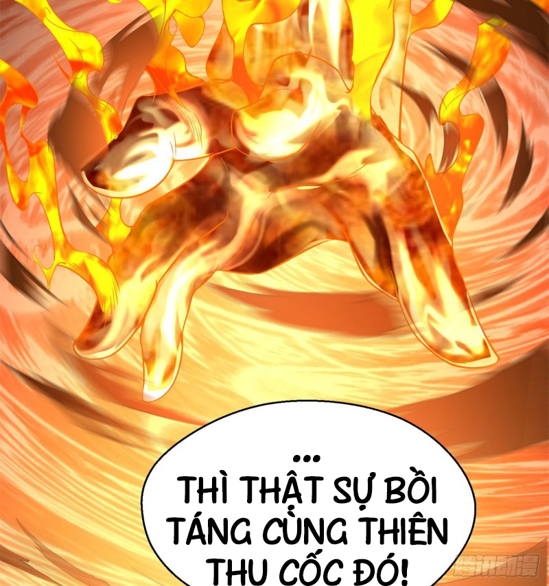 Ta Nhặt Được Thuộc Tính Tại Tu Chân Giới chapter 37 - Trang 66