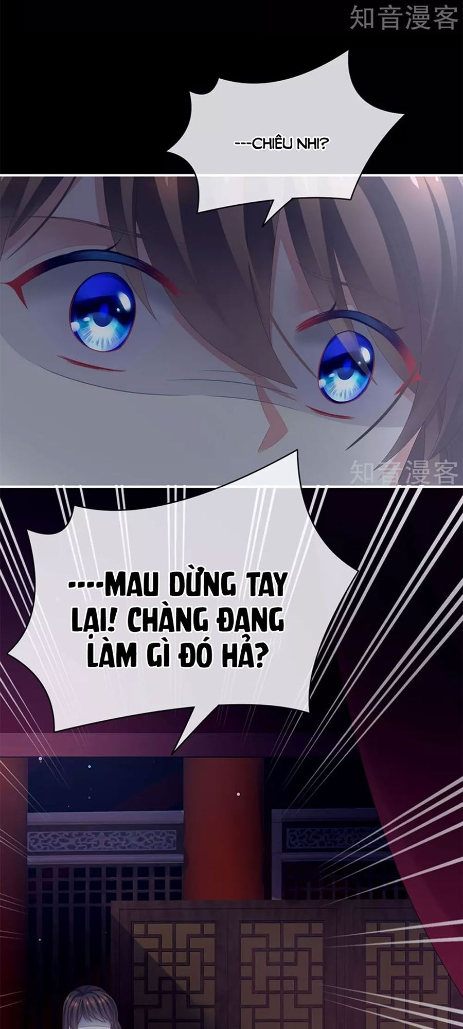 Hậu Cung Của Nữ Đế chapter 108 - Trang 17