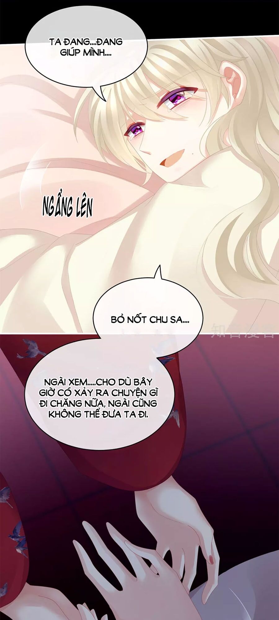 Hậu Cung Của Nữ Đế chapter 108 - Trang 20