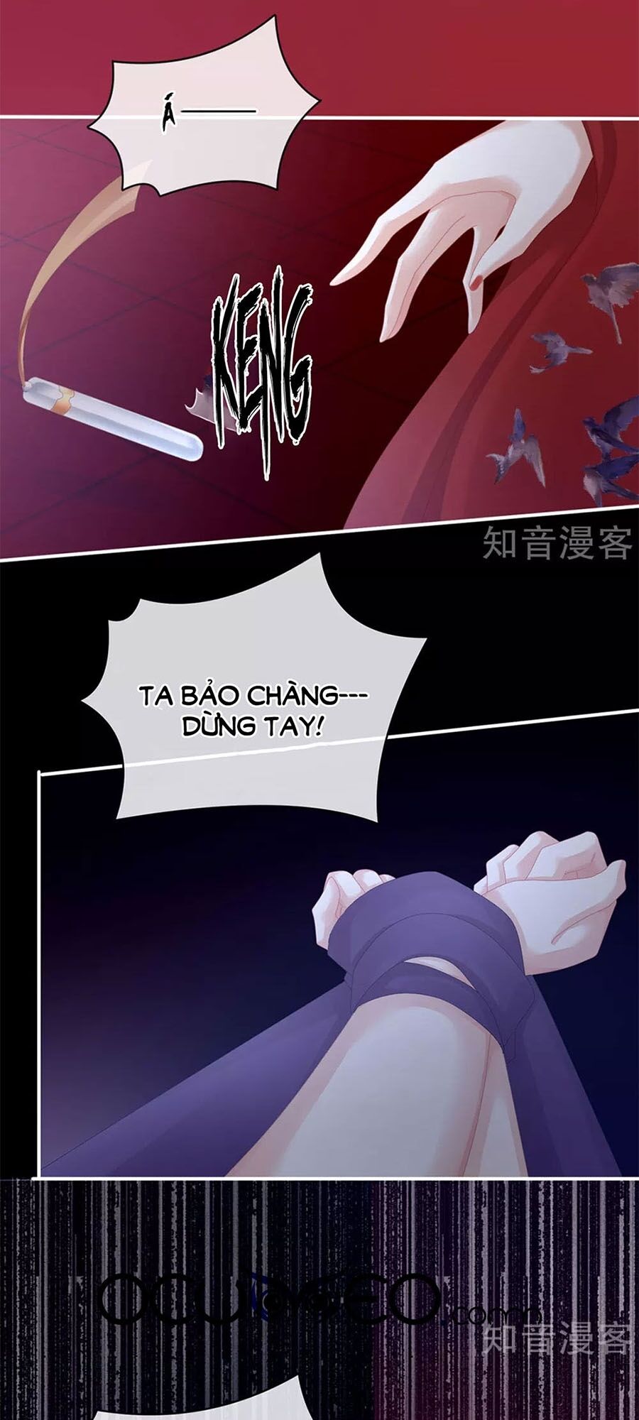 Hậu Cung Của Nữ Đế chapter 108 - Trang 23