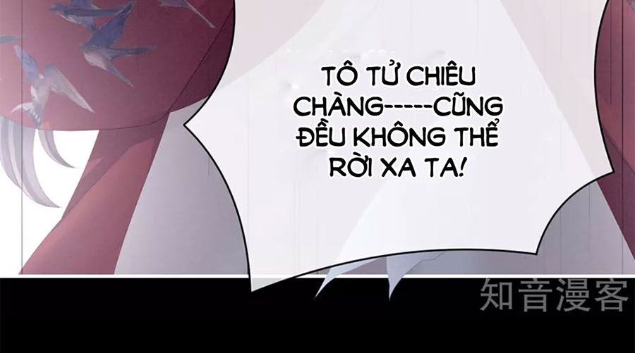 Hậu Cung Của Nữ Đế chapter 108 - Trang 36