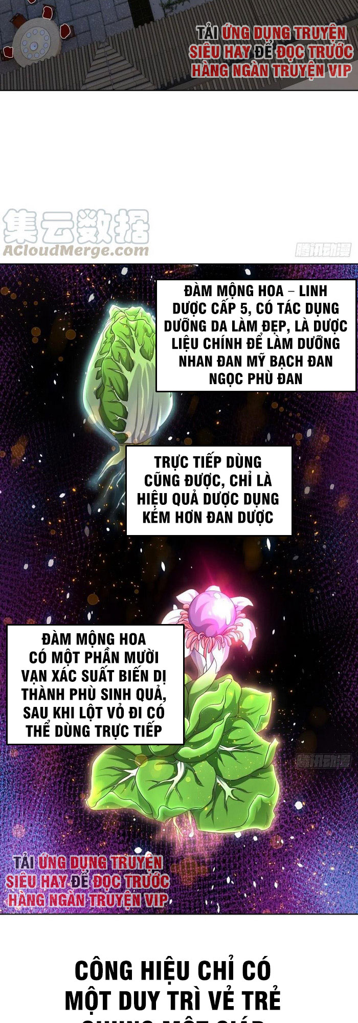 Chiếm Cái Đỉnh Núi Làm Đại Vương chapter 93 - Trang 10