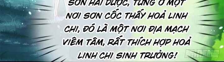 Luyện Thể Trăm Nghìn Tầng chapter 17 - Trang 12