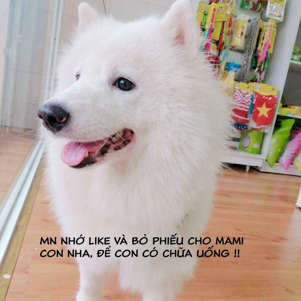 Độc Y Đích Nữ chapter 15 - Upload bởi truyensieuhay.com