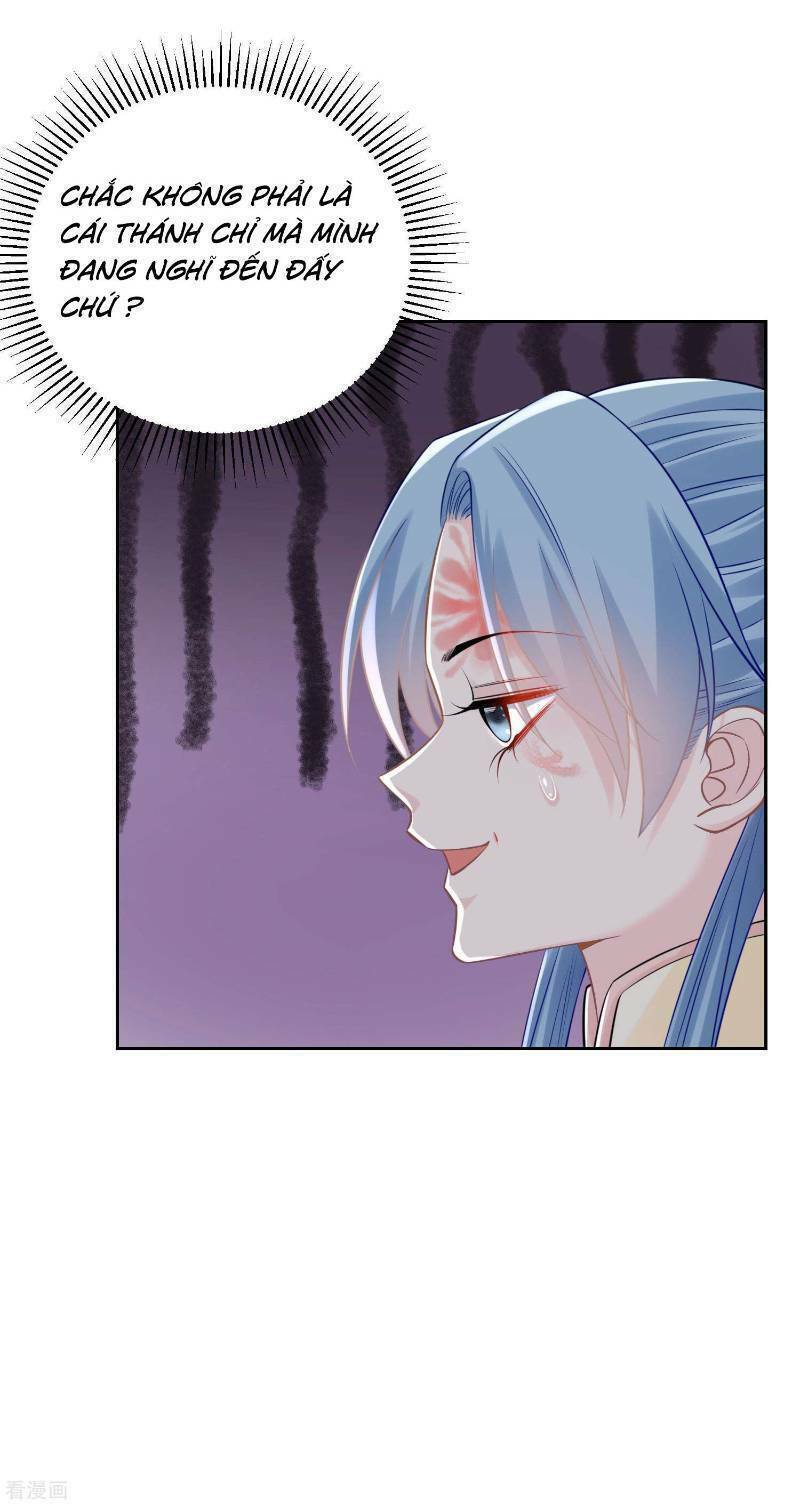 Độc Y Đích Nữ chapter 88 - Upload bởi truyensieuhay.com