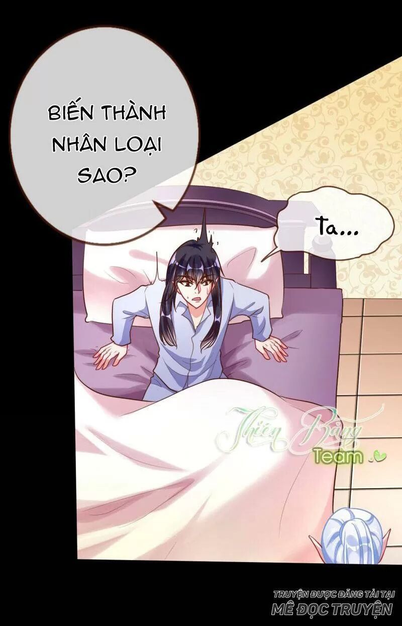 Vạn Tra Triêu Hoàng chapter 58 - Trang 41