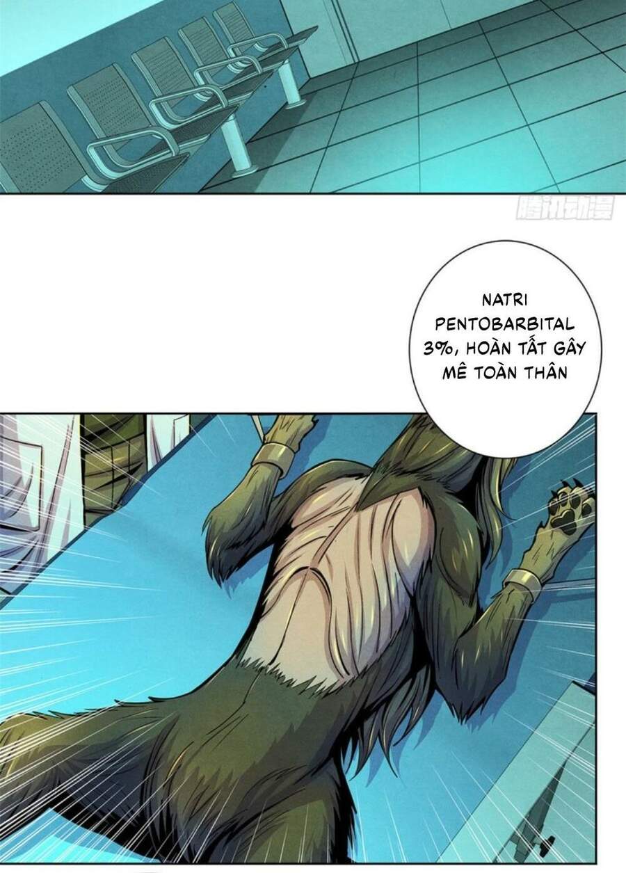 Bác Sĩ Hỗn Mang chapter 31 - Upload bởi truyensieuhay.com