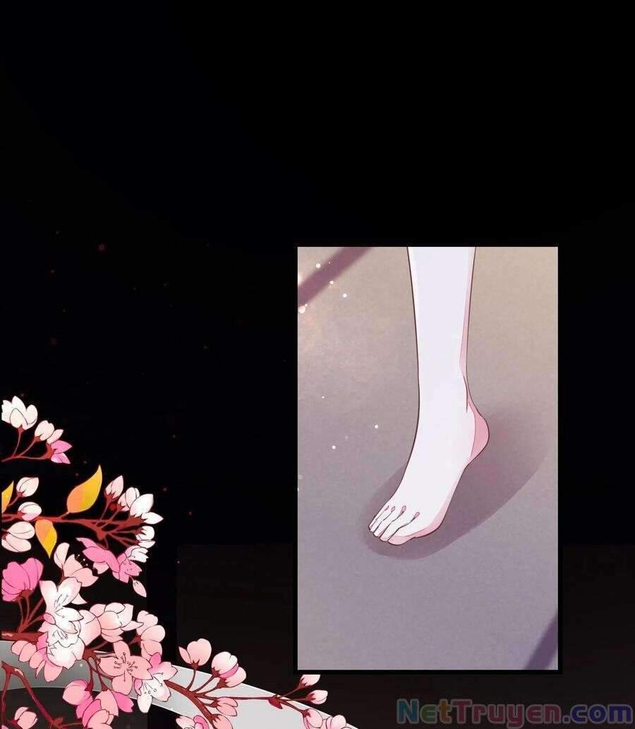 Chi Tôn Đồng Thuật Sư: Tuyệt Thế Đại Tiểu Thư chapter 248 - Trang 2