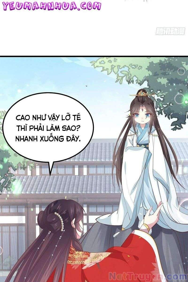 Chi Tôn Đồng Thuật Sư: Tuyệt Thế Đại Tiểu Thư chapter 259 - Trang 19