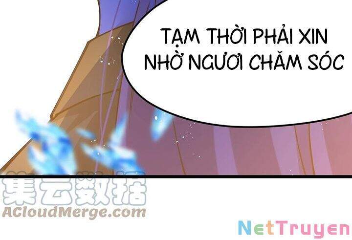 Sức Mạnh Kiếm Thần chapter 30 - Trang 12