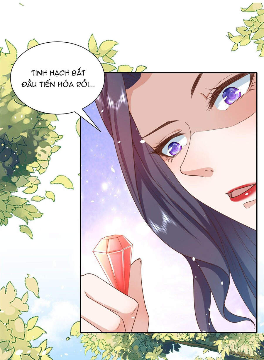 Trở Thành Lão Đại Từ Việc Tiêu Tiền chapter 44 - Trang 11