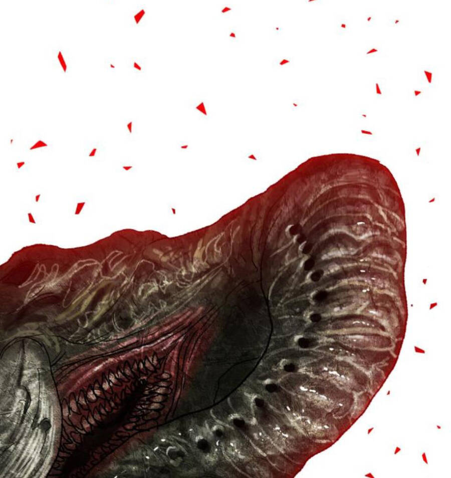 Phá Bỏ Giới Hạn chapter 63 - Upload bởi truyensieuhay.com