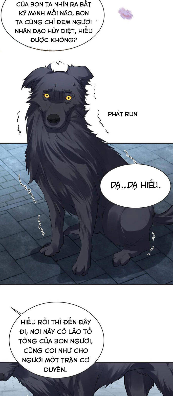 Ta Vô Địch Lúc Nào chapter 37 - Trang 12