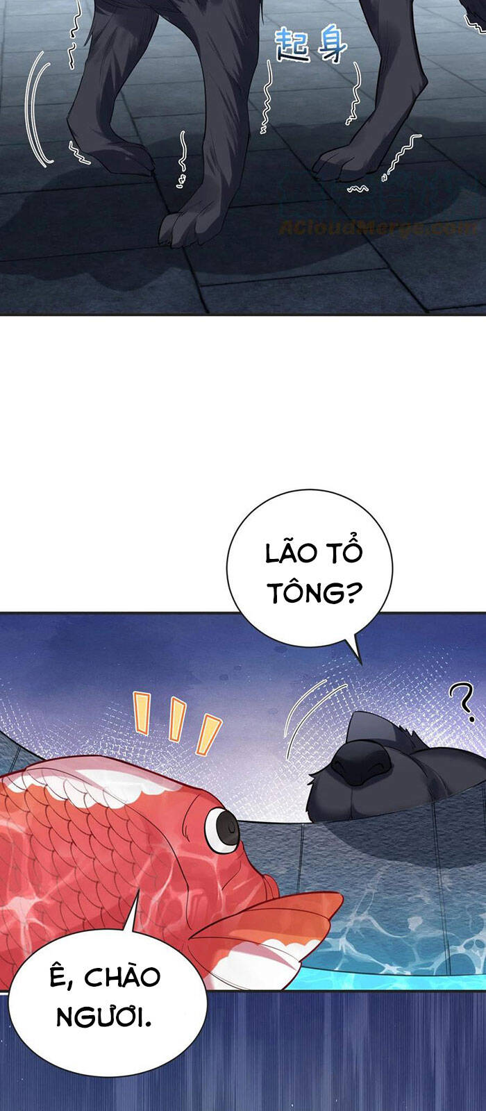 Ta Vô Địch Lúc Nào chapter 37 - Trang 13