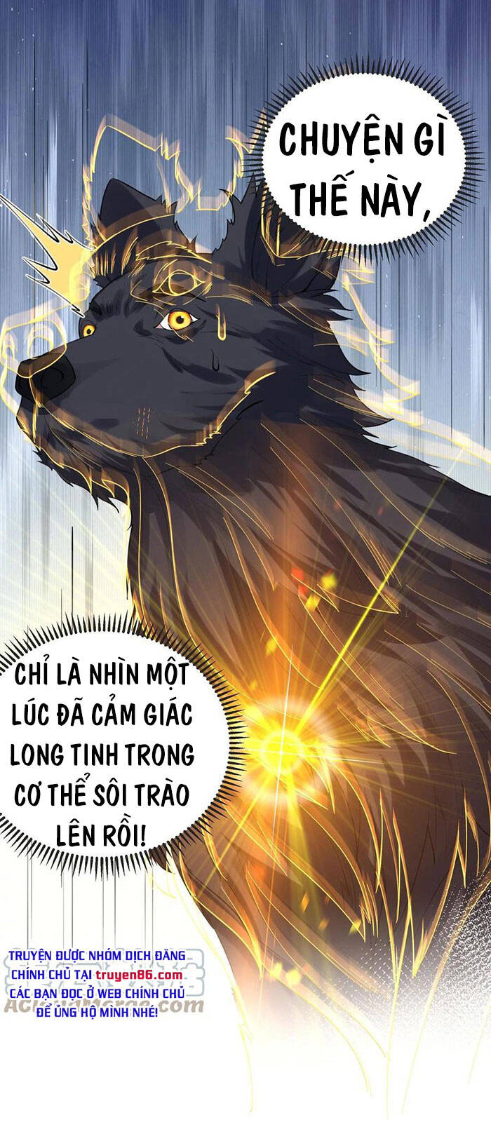 Ta Vô Địch Lúc Nào chapter 37 - Trang 14