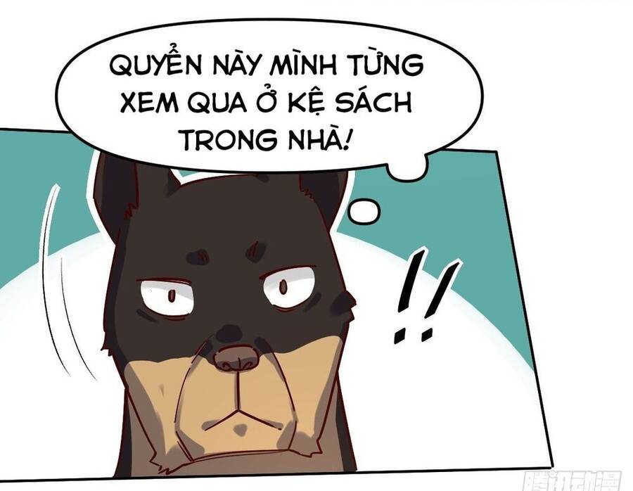 Nguyên Lai Ta Là Tu Tiên Đại Lão chapter 14 - Trang 20