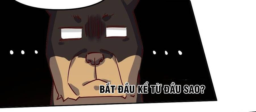 Nguyên Lai Ta Là Tu Tiên Đại Lão chapter 14 - Trang 22