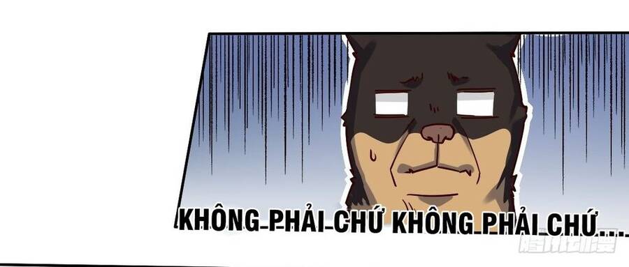 Nguyên Lai Ta Là Tu Tiên Đại Lão chapter 14 - Trang 28