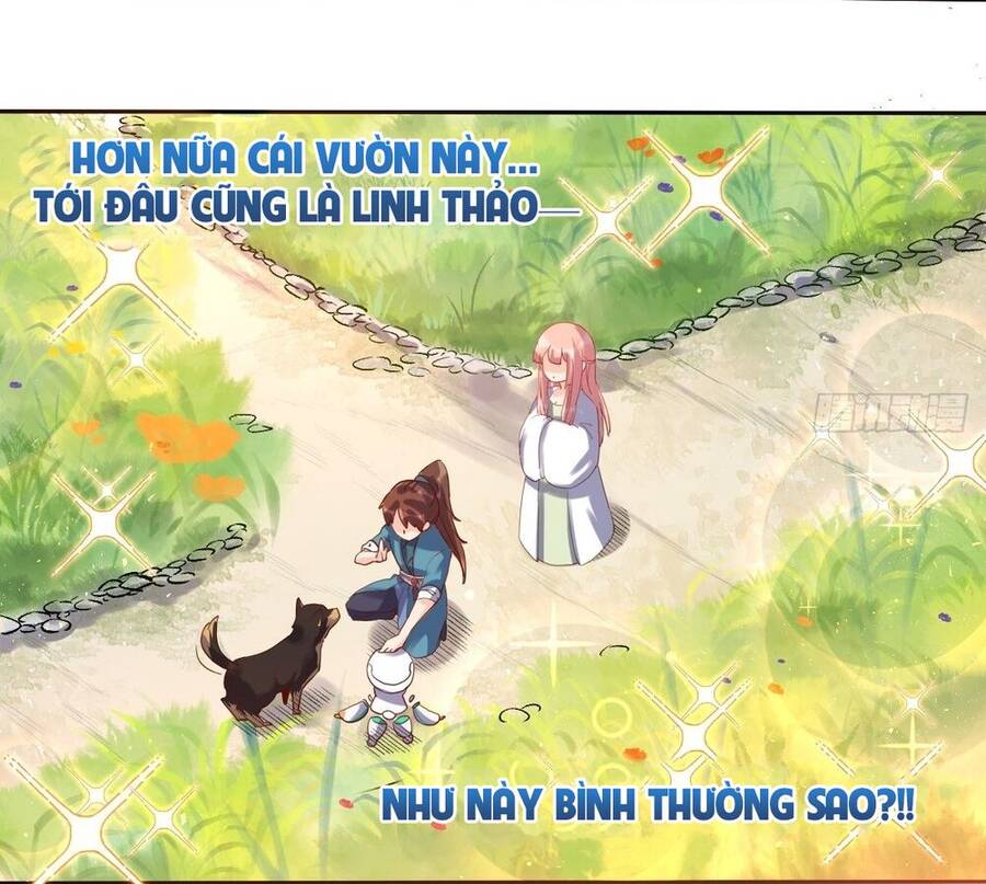 Nguyên Lai Ta Là Tu Tiên Đại Lão chapter 21 - Trang 32