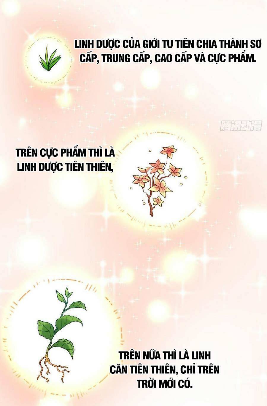 Nguyên Lai Ta Là Tu Tiên Đại Lão chapter 23 - Trang 26