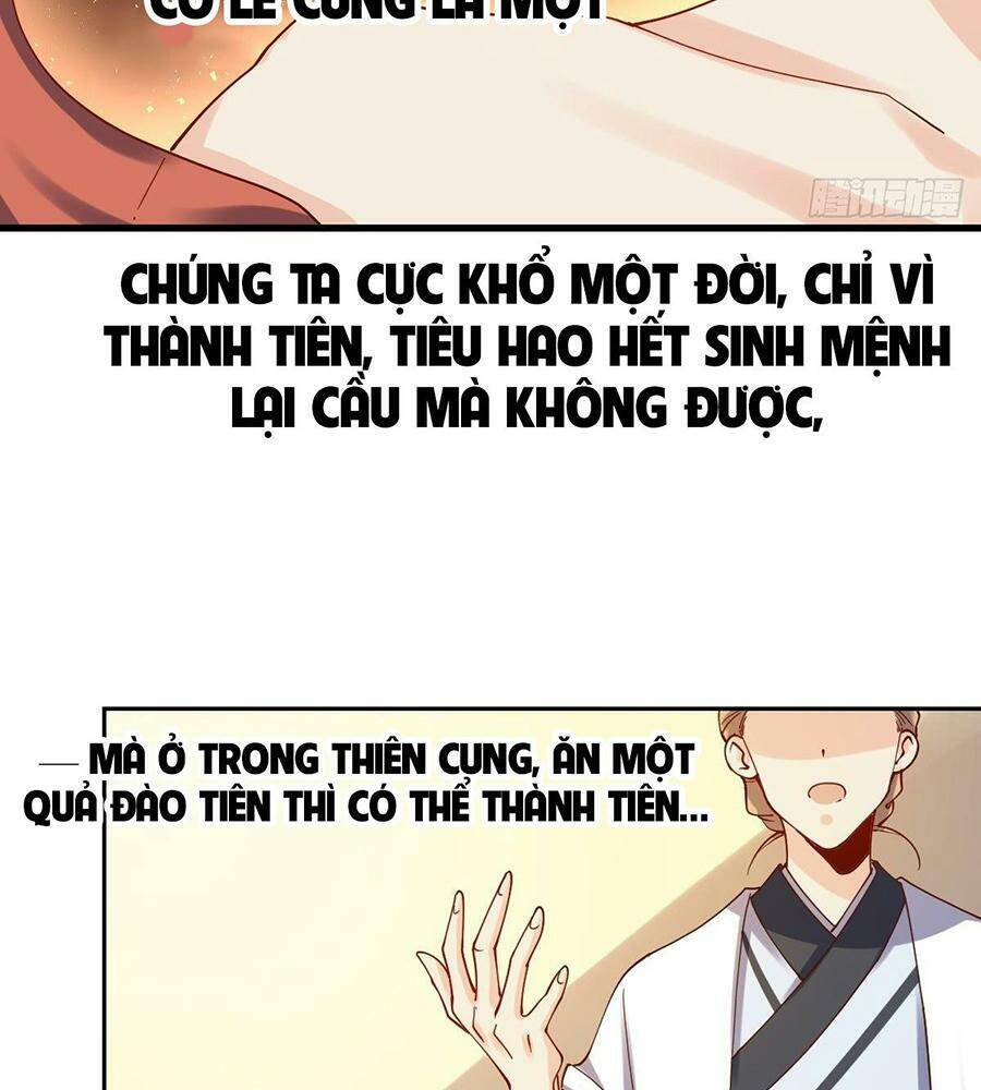 Nguyên Lai Ta Là Tu Tiên Đại Lão chapter 27 - Trang 27
