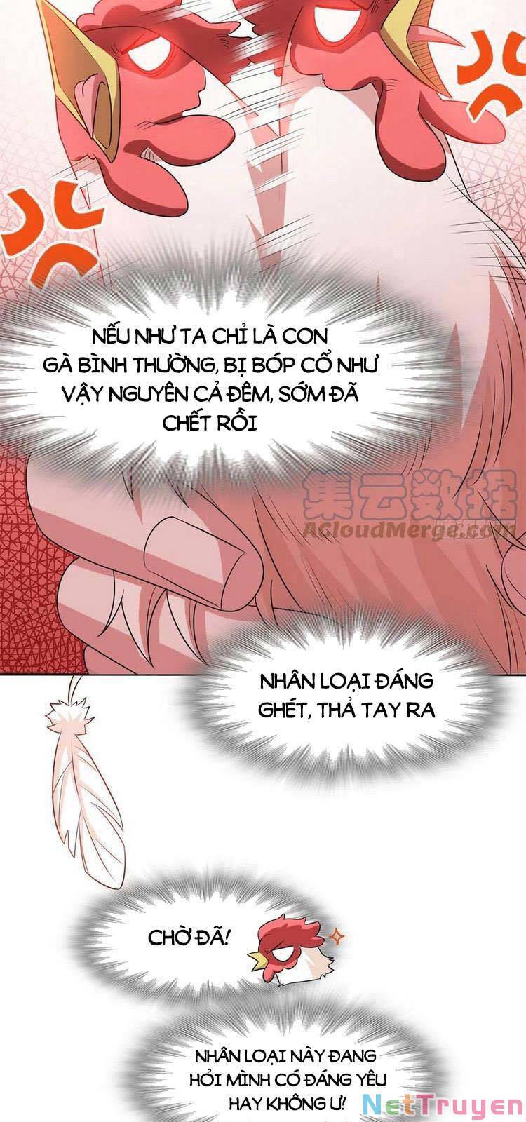 Cường Giả Đến Từ Trại Tâm Thần chapter 74 - Upload bởi truyensieuhay.com